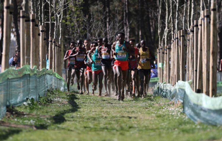 Bárzola, 90° en el Mundial de Cross en Belgrado, de neto dominio africano