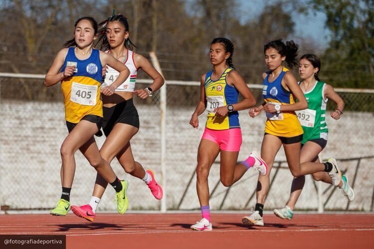 Culminaron los Juegos de la Araucania